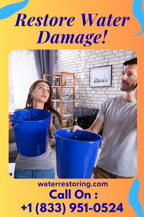 water restoration Reliable Water Cleanup Force Florence