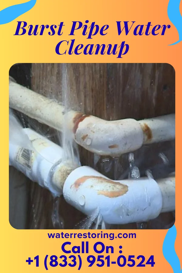 Burst Pipe Water Cleanup in Florence, KY