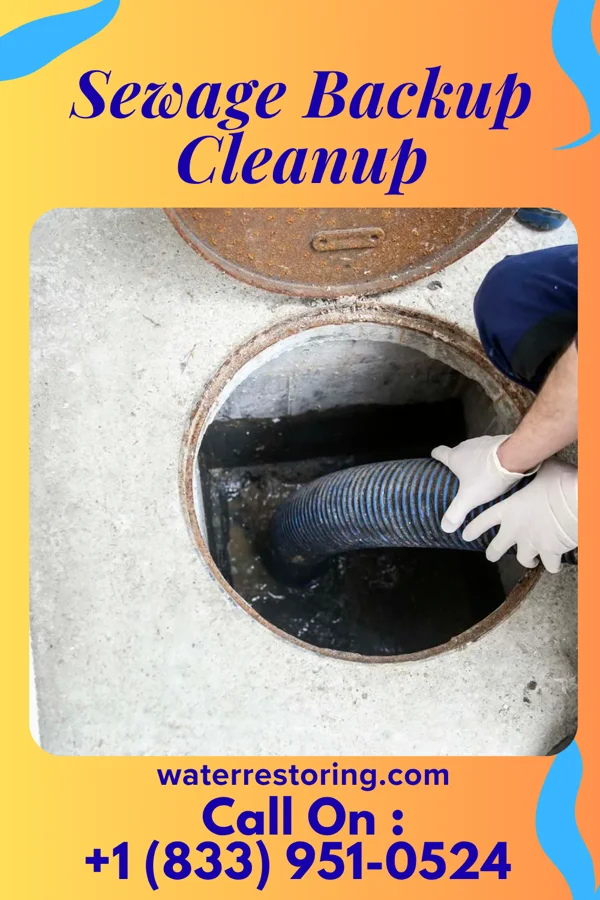 Sewage Backup Cleanup in Florence, KY